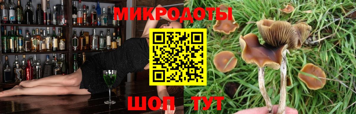 Галлюциногенные грибы прущие грибы Дзержинск