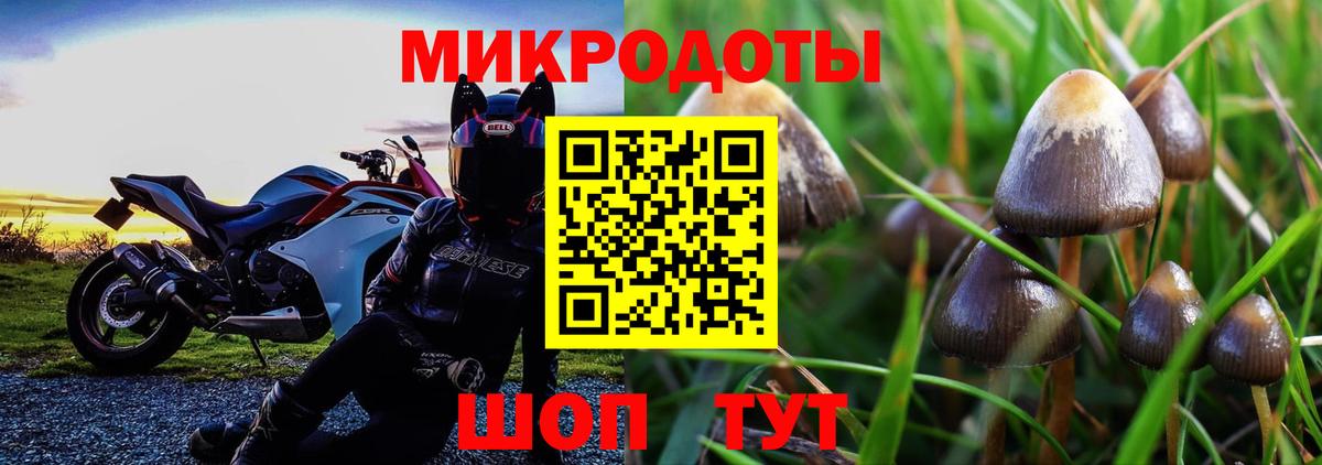 Псилоцибиновые грибы мухоморы  Галлюциногенные грибы Psilocybine cubensis  Дзержинск  Вход с VPN 